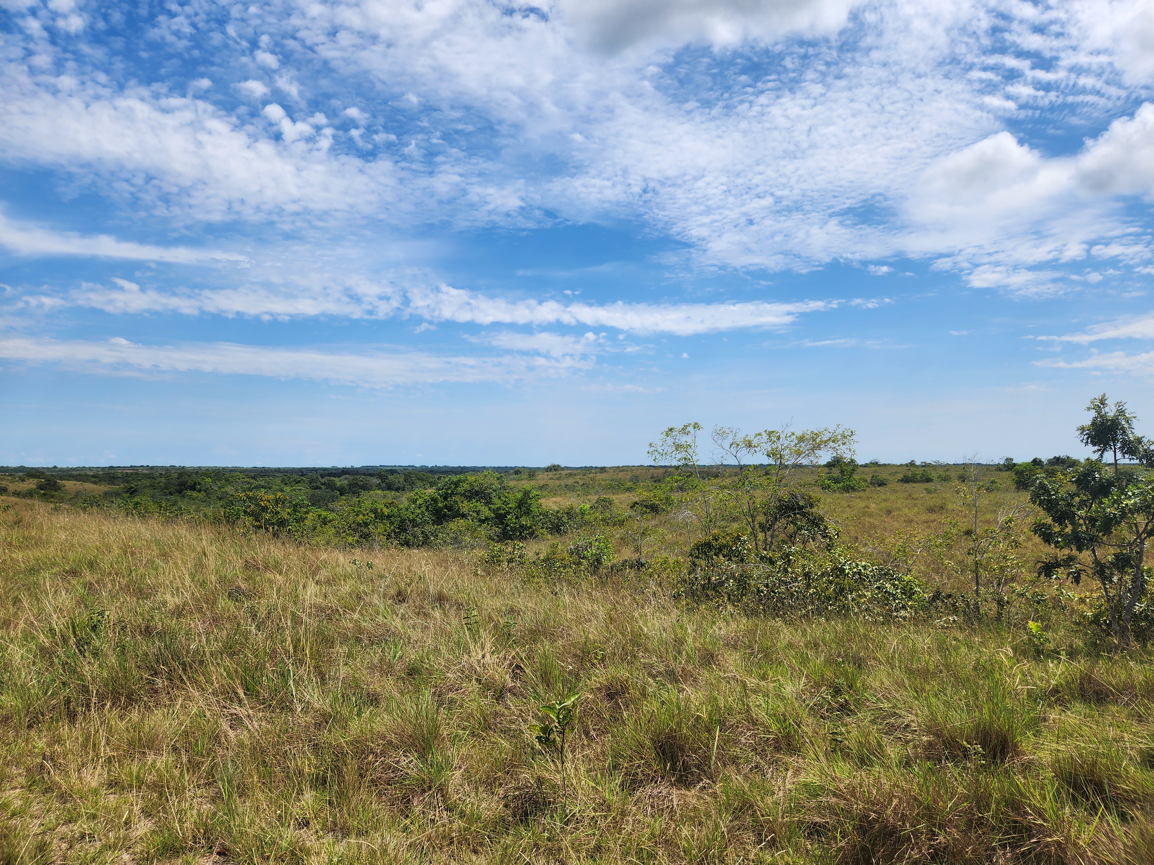 Colombian Savannas